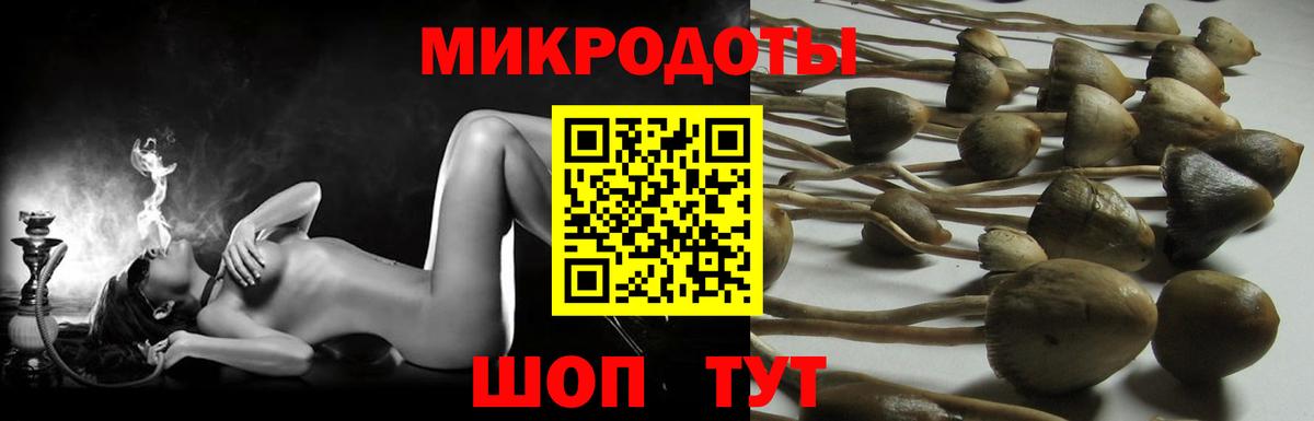 Нижнекамск  Псилоцибиновые грибы Magic Shrooms  Вход с VPN  Галлюциногенные грибы мицелий 